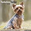 Yorkshire Terrier Calendar